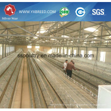 Factory Outlet a Type Layer Chicken Cage